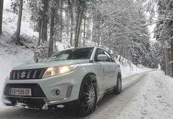 auto_mit_ketten_wald.jpg